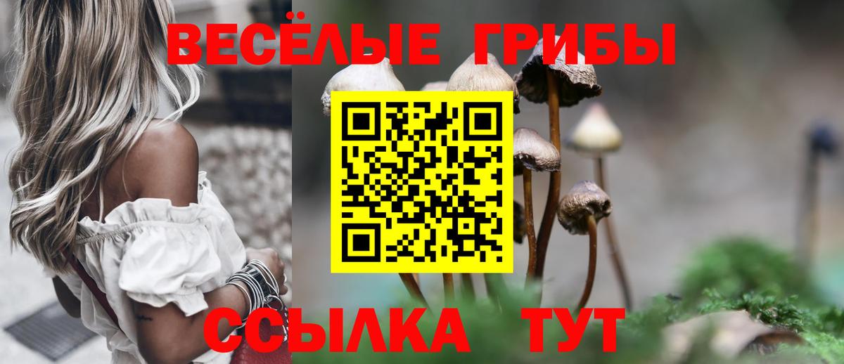 Краснокамск  Галлюциногенные грибы Psilocybine cubensis  Вход с VPN 